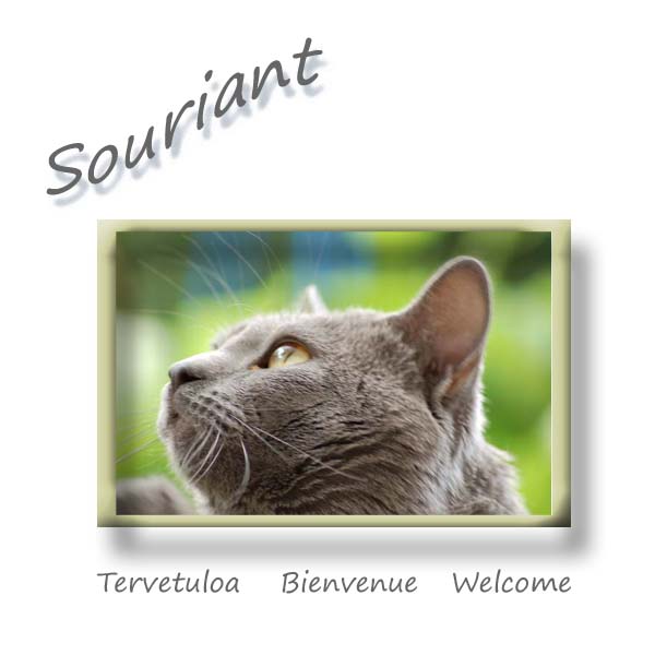 Souriant